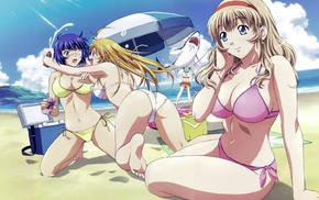 anime girls, Ikkitousen