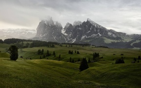 forest, landscape, nature, mountain