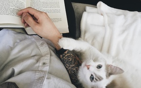 tattoo, cat, books