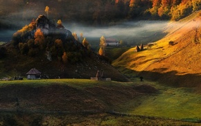 forest, fall, nature, mist, sunrise, hill