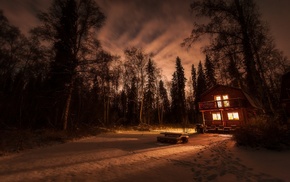 forest, cottage, nature, landscape, lights, night