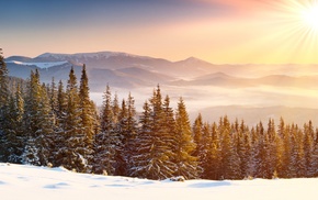 mountain, snow, mist, sun rays, forest, snowy peak