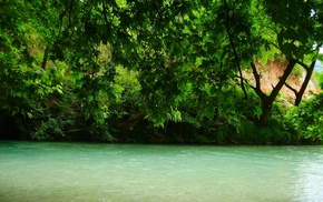 trees, water, green, river, landscape, spring