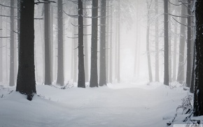 minimalism, wood, snow