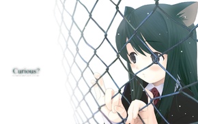 nekomimi