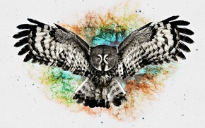 digital art, owl