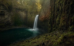 landscape, waterfall, moss, Oregon, forest, nature