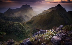 nature, mountain