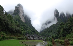 mountain, trees