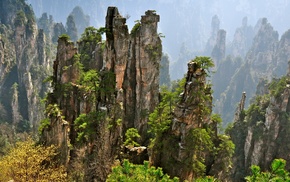 cliff, trees, rock formation, nature, landscape