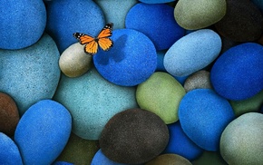 butterfly, stones