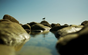 landscape, water, rock