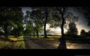 trees, road, shadow, alone, path, green