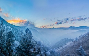 winter, forest, snow, clouds, Colorado, mist