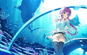 anime girls, anime