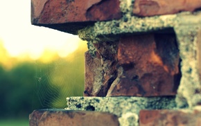 spiderwebs, bricks, depth of field