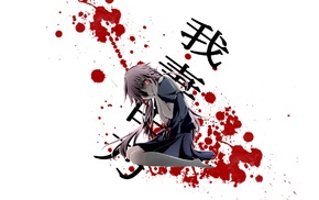 anime girls, yandere, Mirai Nikki, Gasai Yuno - wallpaper #150214