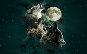 wolf, moon, digital art