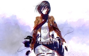 uniform, Mikasa Ackerman, anime, anime girls, blades, black hair