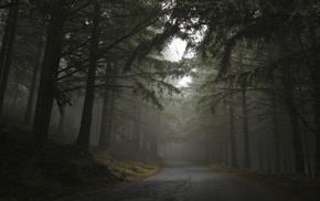 hill, nature, mist, dark, landscape, forest