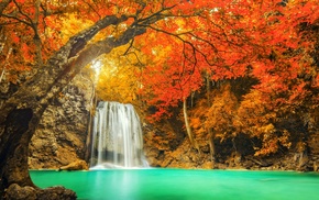 Thailand, nature, yellow, water, fall, landscape