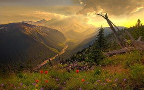 nature, landscape, mountain