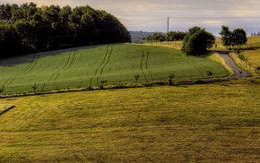 field, landscape, photography, nature