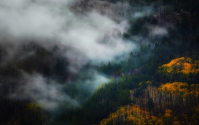 fall, mountain, nature, mist, landscape, trees
