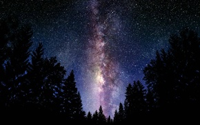 digital art, stars, forest clearing, space, forest