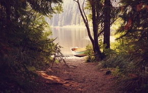 reflection, lake, forest, boat, trees