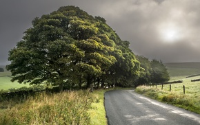 road, landscape, trees