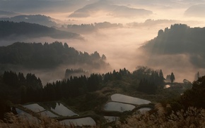 nature, sunrise, Japan, trees, landscape, mist