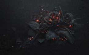 rose, flowers, fire, Gothic