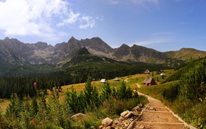 mountain