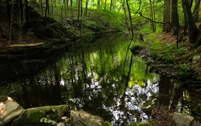 nature, river