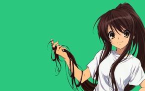 The Melancholy of Haruhi Suzumiya, anime vectors, green background, Suzumiya Haruhi, simple background, anime