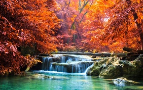 colorful, tropical, fall, landscape, sun rays, nature
