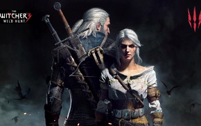 The Witcher 3 Wild Hunt, The Witcher, video games