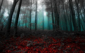mist, sunrise, landscape, fairy tale, red, gray