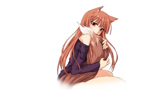 Spice and Wolf, anime girls, anime, artwork, Holo