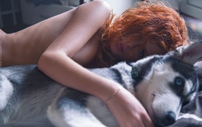 Siberian Husky, strategic covering, nude, lying down, topless, animals