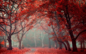 nature, leaves, tunnel, landscape, red, park