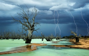 nature, lightning, beach, storm, dead trees