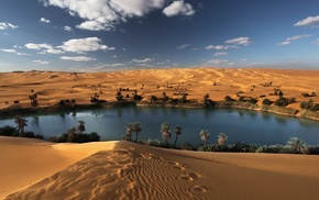 landscape, desert, oases