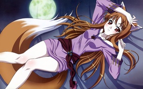 wolf girls, anime girls, anime, Spice and Wolf, Holo