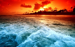 beach