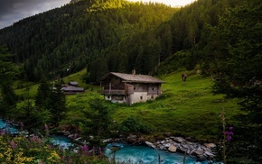 water, forest, sunrise, spring, turquoise, cottage