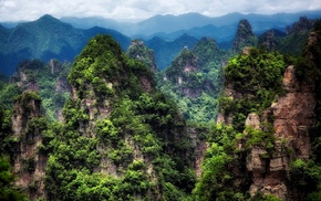 China, nature, forest, Avatar, trees, mountain