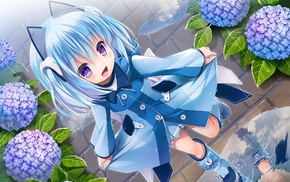 anime girls, flowers, 1000, chan, original characters, blue hair