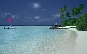 palm trees, nature, summer, catamaran, island, sand